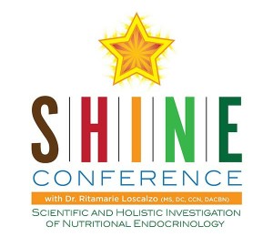 SHINE Conference